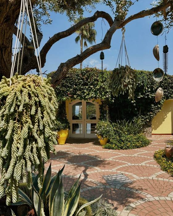 The courtyard under the olive tree, Ischia